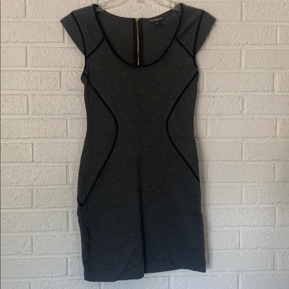 Express Size 2 Form Fitting Grey Dress